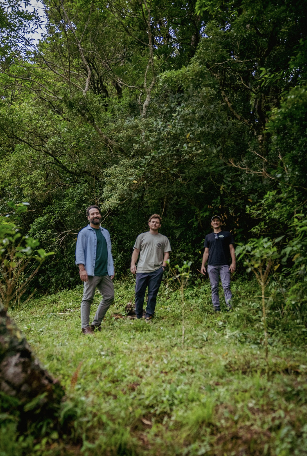 Screenshot 2025-12-08 at 1.29.36 pm